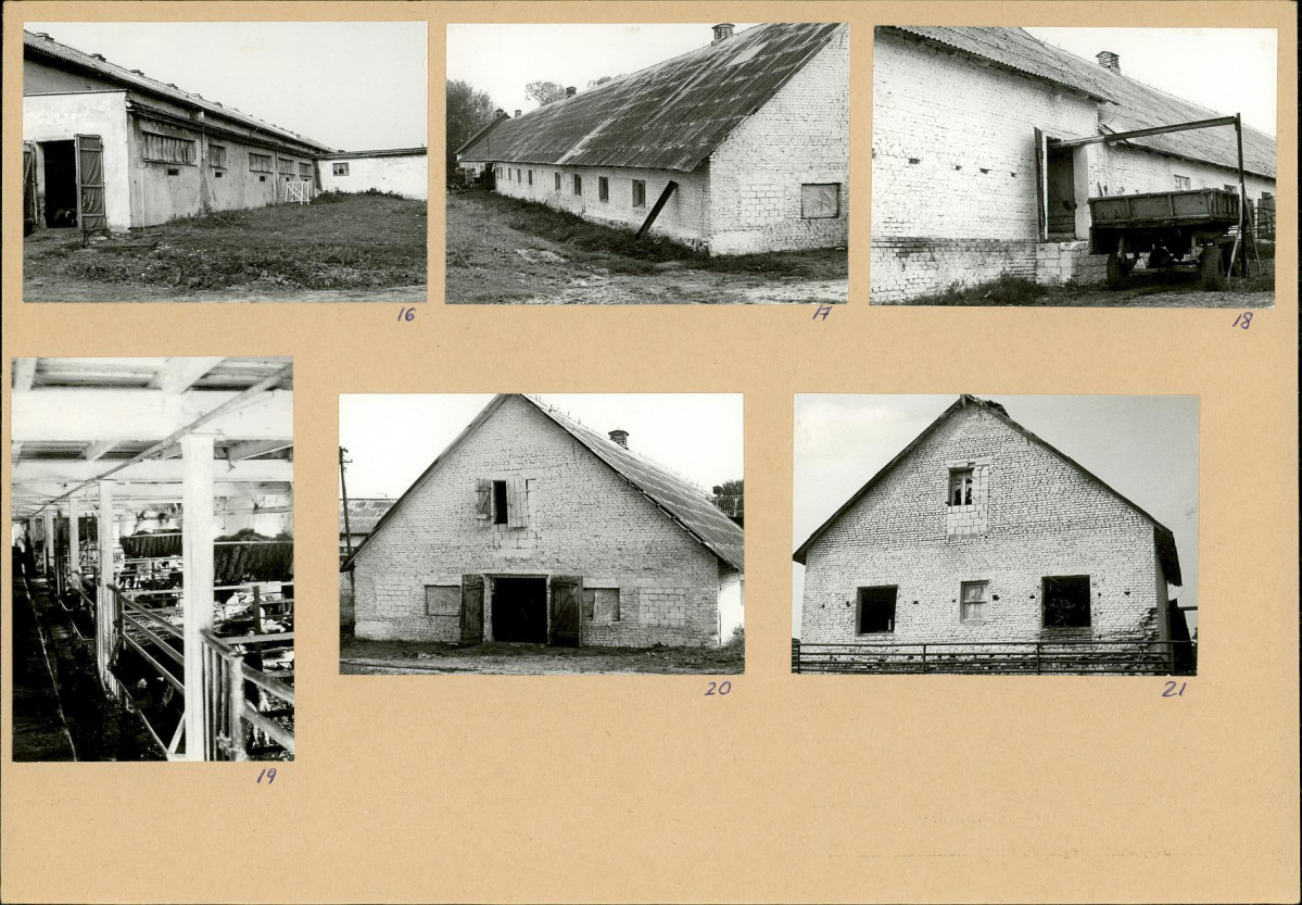 Karta biała, skan nr 10