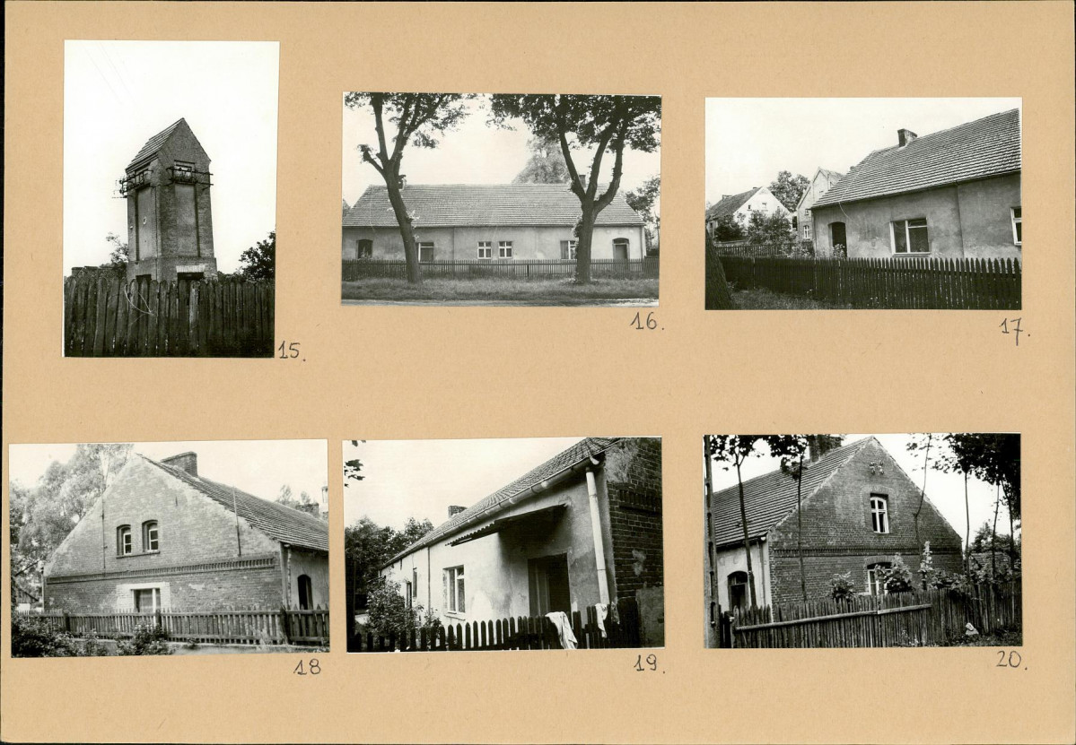 Karta zielona, skan nr 14
