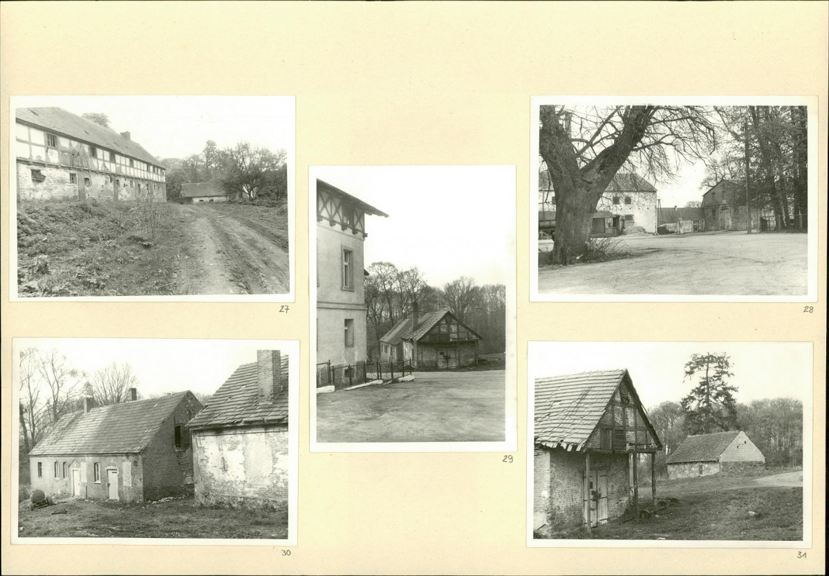 Karta biała, skan nr 14