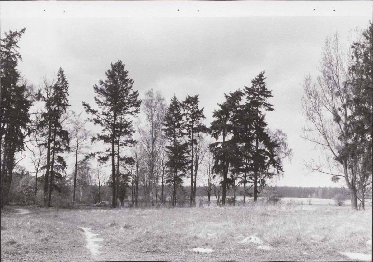 EP - Ewidencja parkowa, skan nr 23