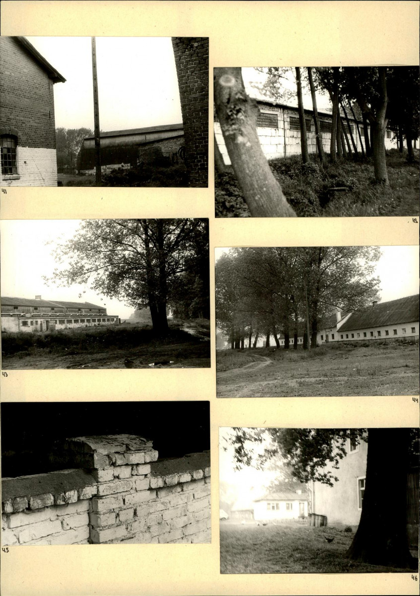Karta biała, skan nr 16
