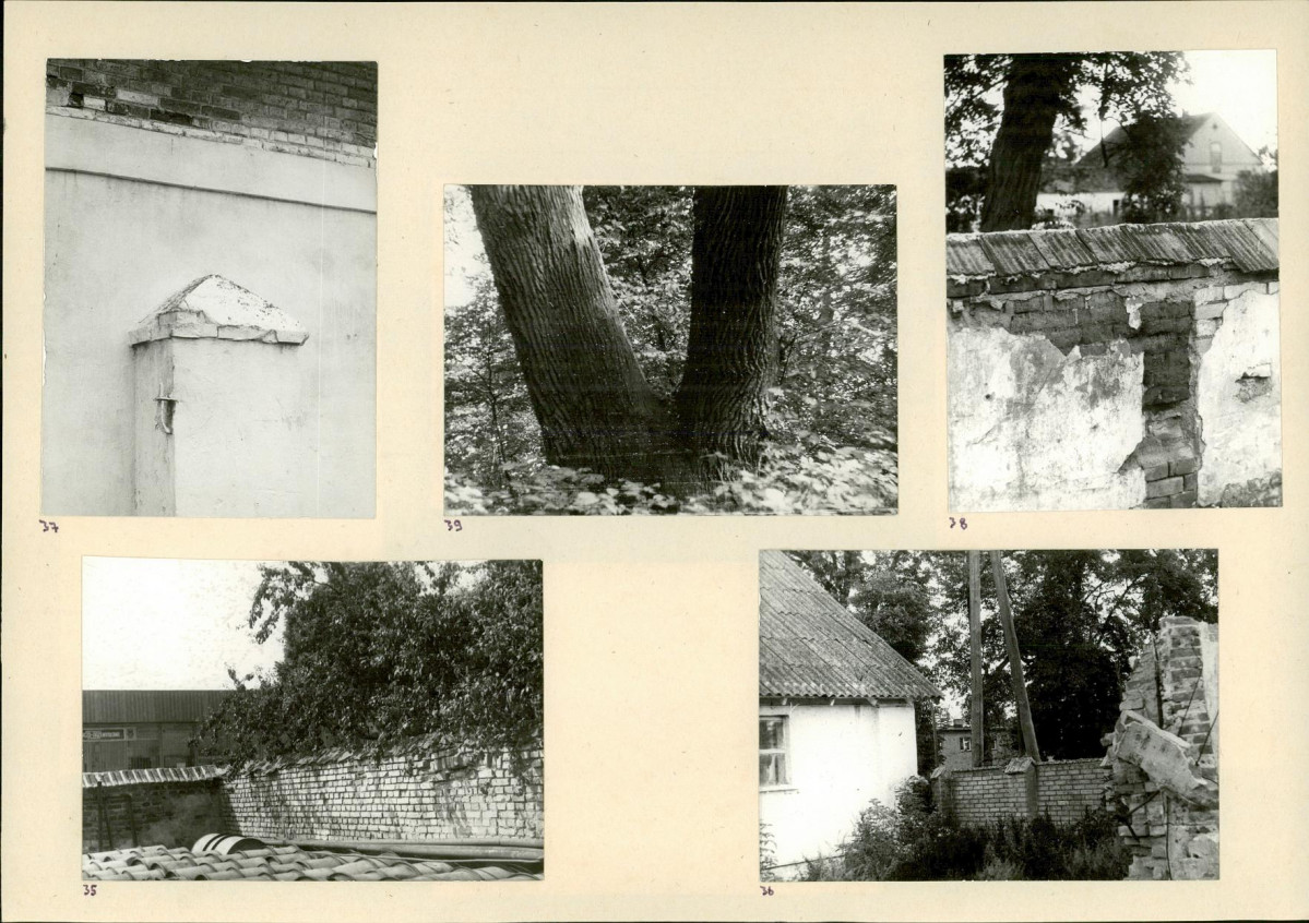 Karta biała, skan nr 14