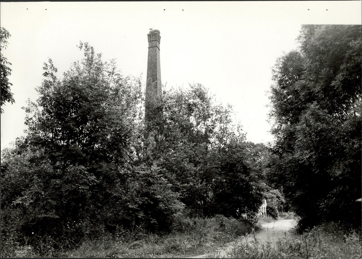 EP - Ewidencja parkowa, skan nr 46