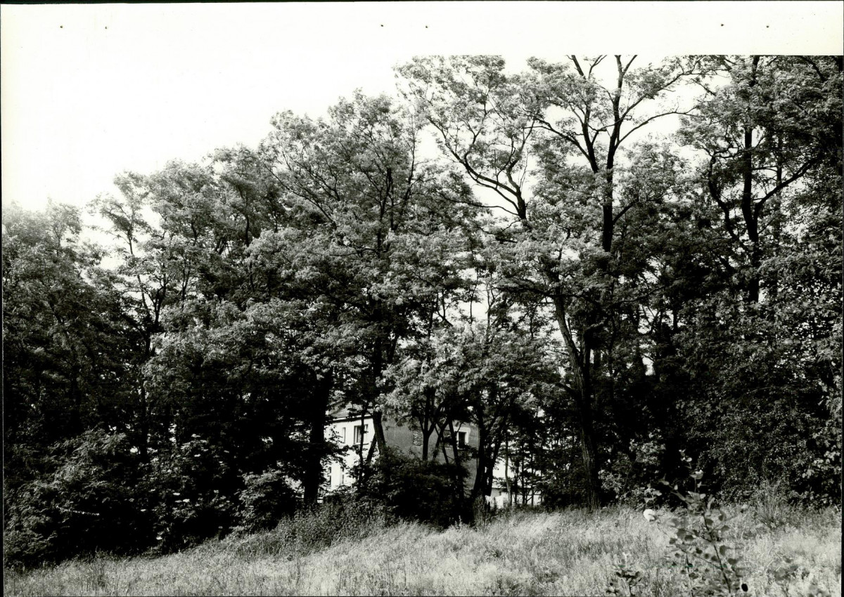 Ewidencja parkowa, skan nr 23