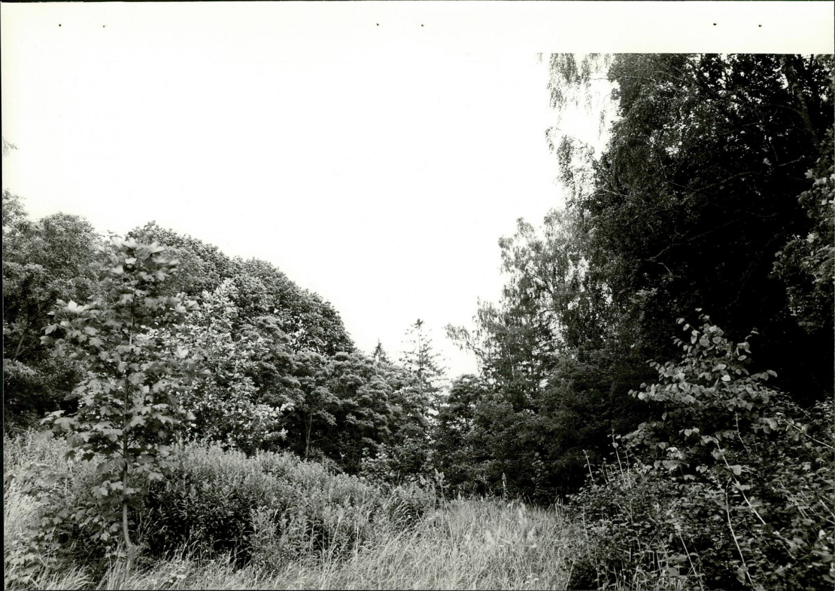 Ewidencja parkowa, skan nr 25