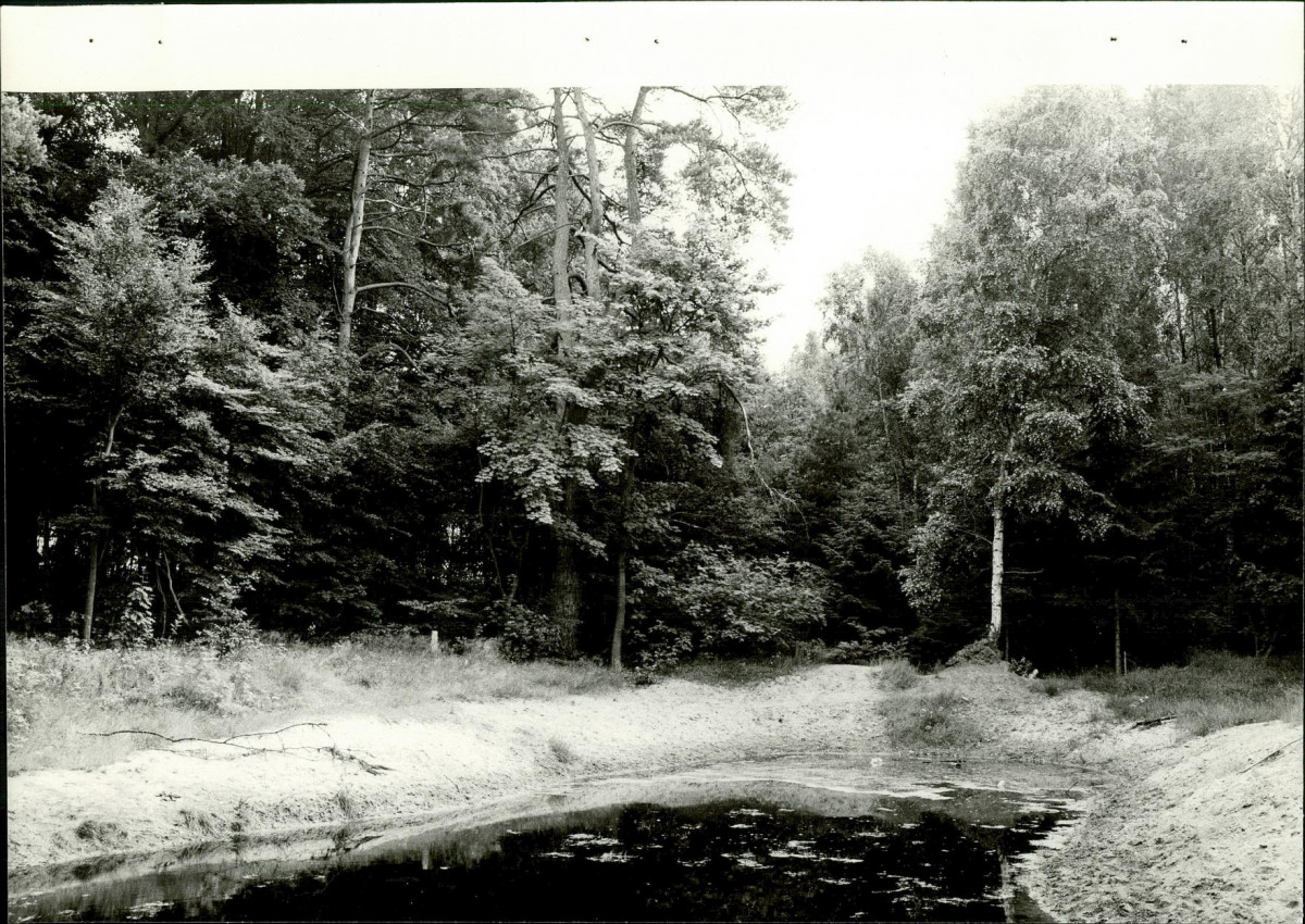 Ewidencja parkowa, skan nr 27