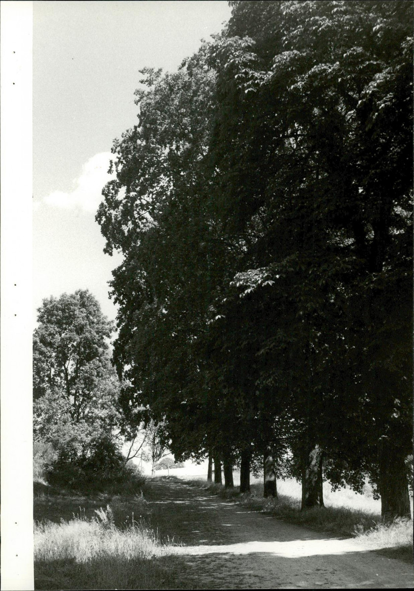 EP - Ewidencja parkowa, skan nr 32