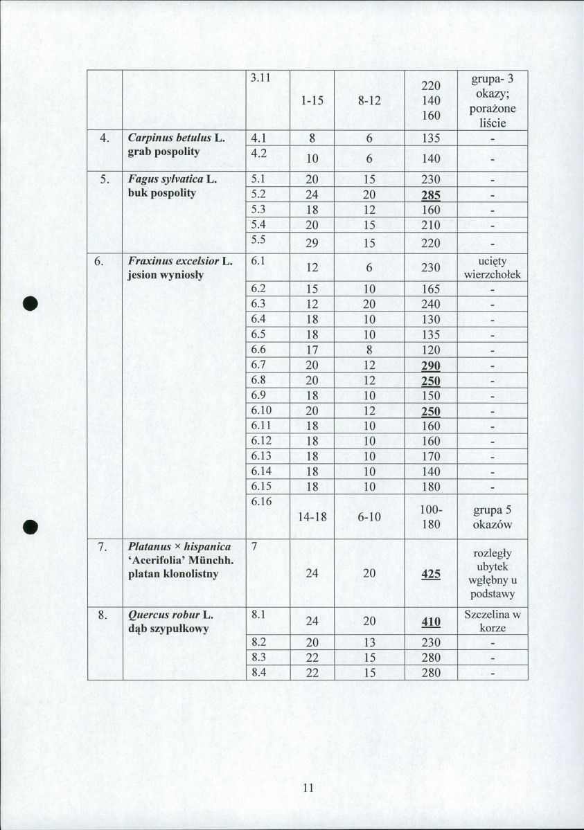 Ewidencja parkowa, skan nr 15