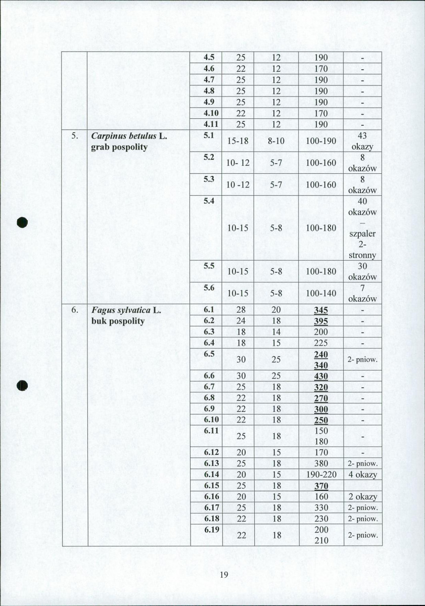 EP - Ewidencja parkowa, skan nr 21