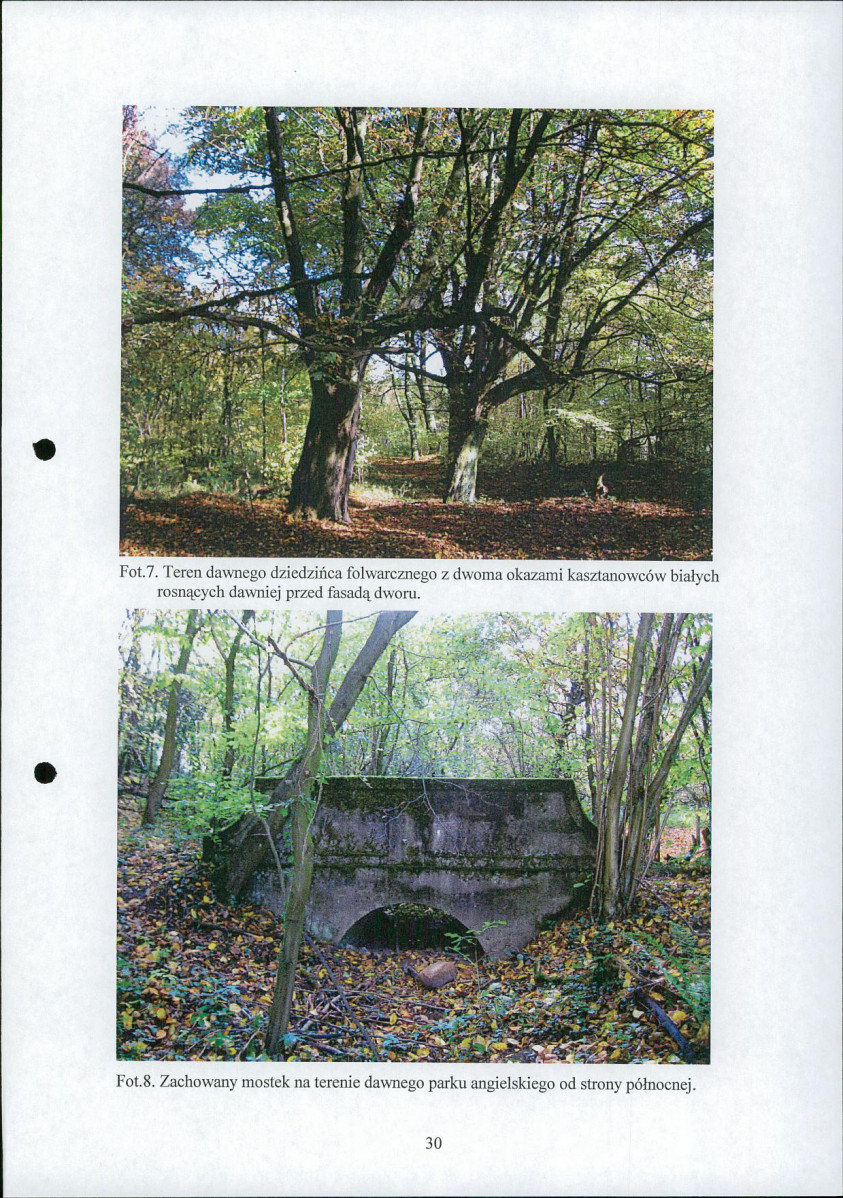 EP - Ewidencja parkowa, skan nr 33