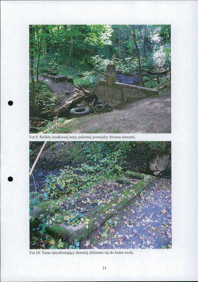 EP - Ewidencja parkowa, skan nr 34