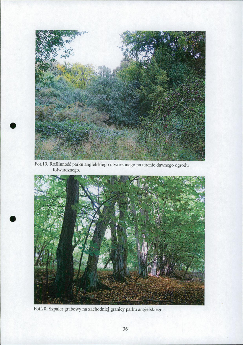 EP - Ewidencja parkowa, skan nr 39