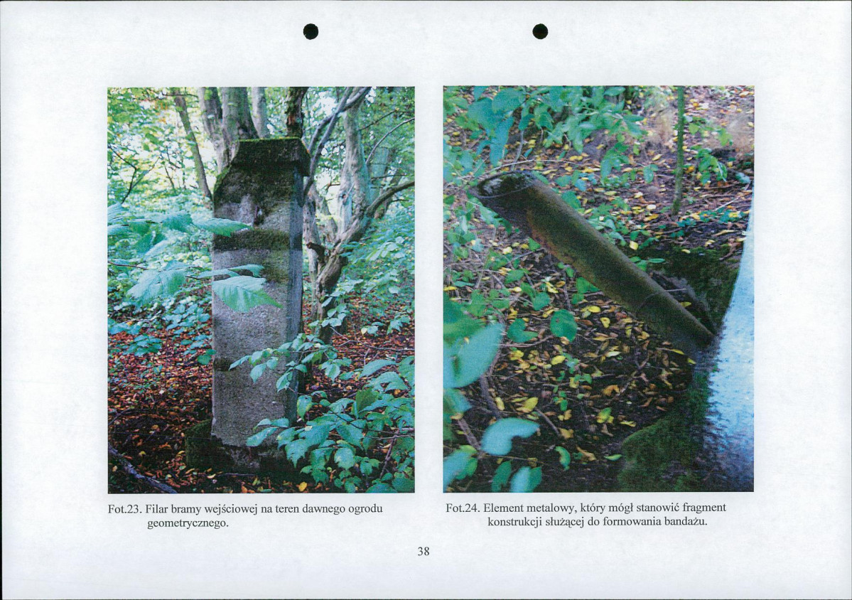 EP - Ewidencja parkowa, skan nr 41