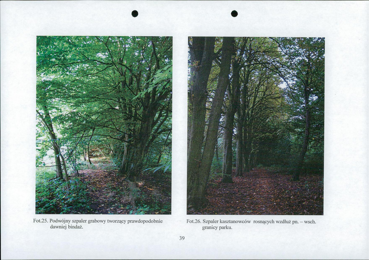 EP - Ewidencja parkowa, skan nr 42