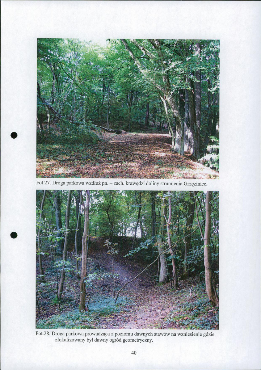 EP - Ewidencja parkowa, skan nr 43