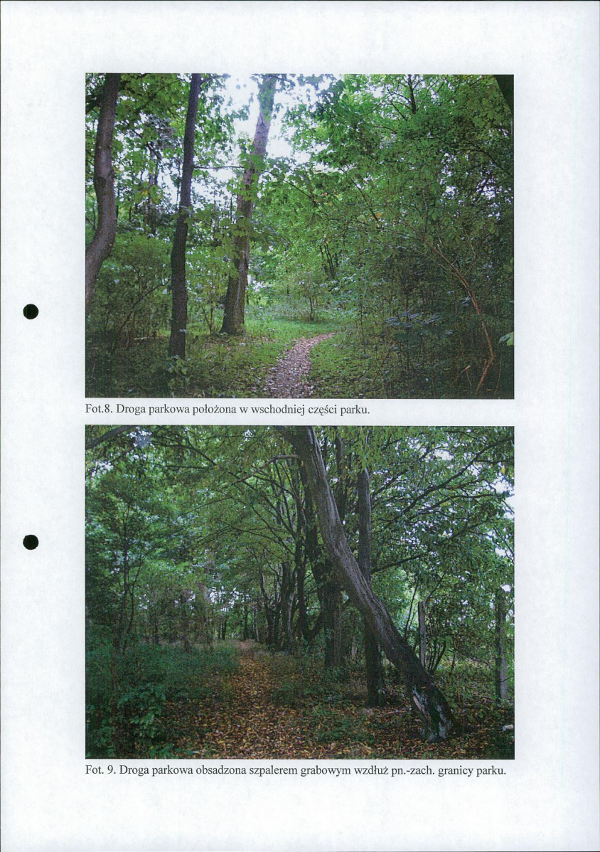 EP - Ewidencja parkowa, skan nr 30