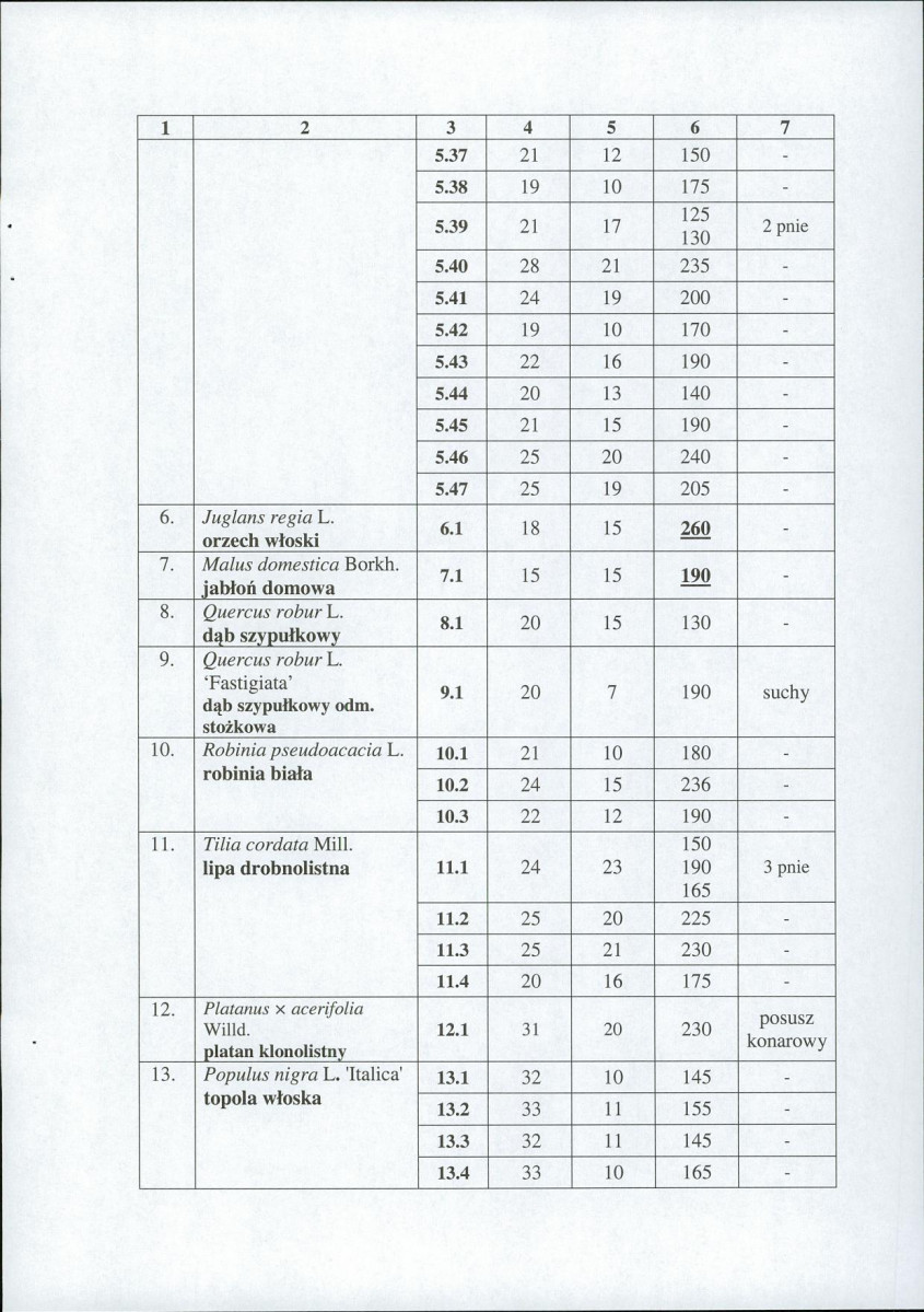 EP - Ewidencja parkowa, skan nr 19