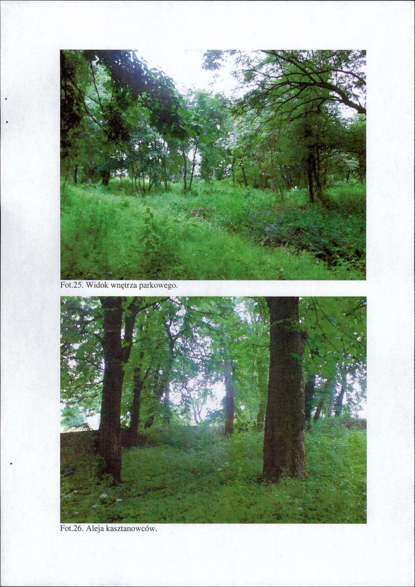 EP - Ewidencja parkowa, skan nr 40