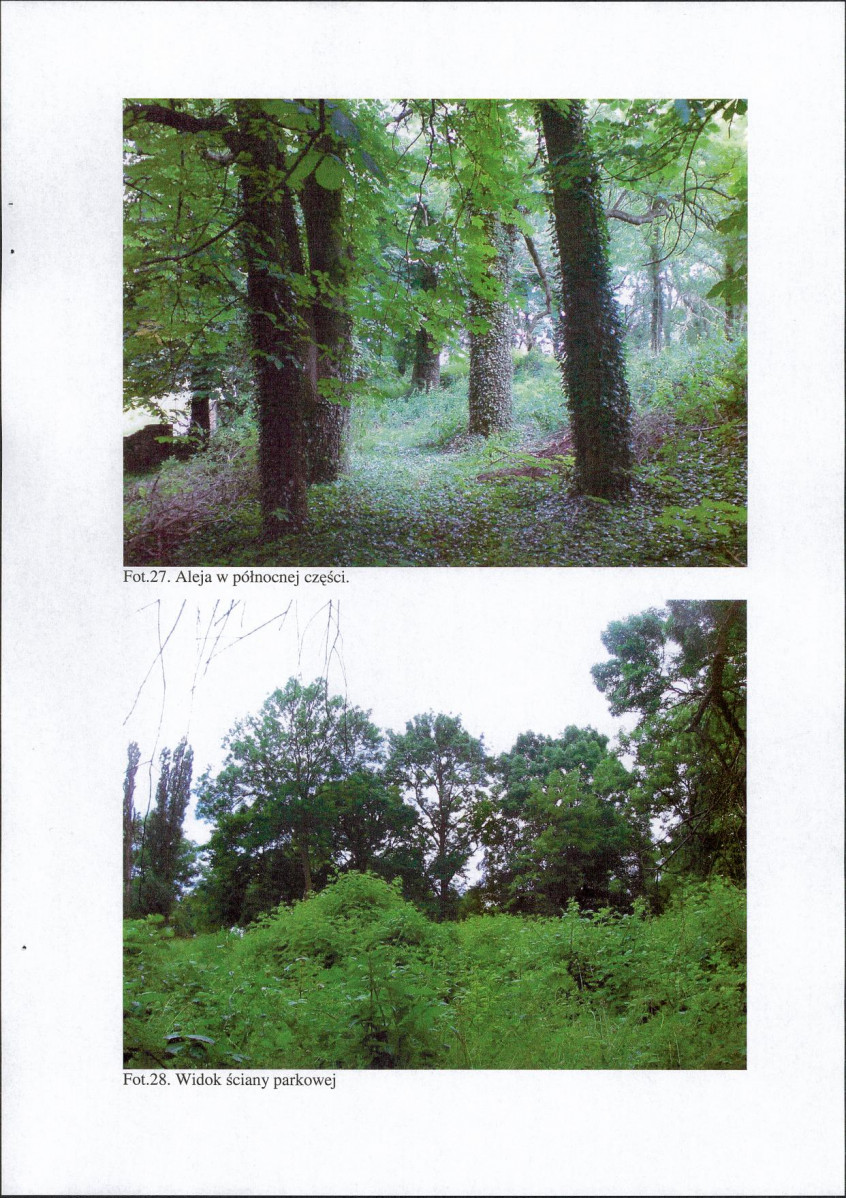 EP - Ewidencja parkowa, skan nr 41