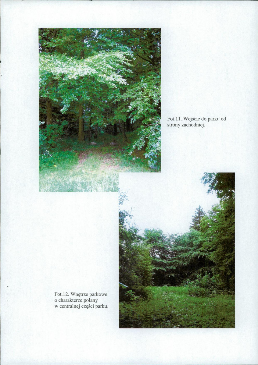 EP - Ewidencja parkowa, skan nr 29
