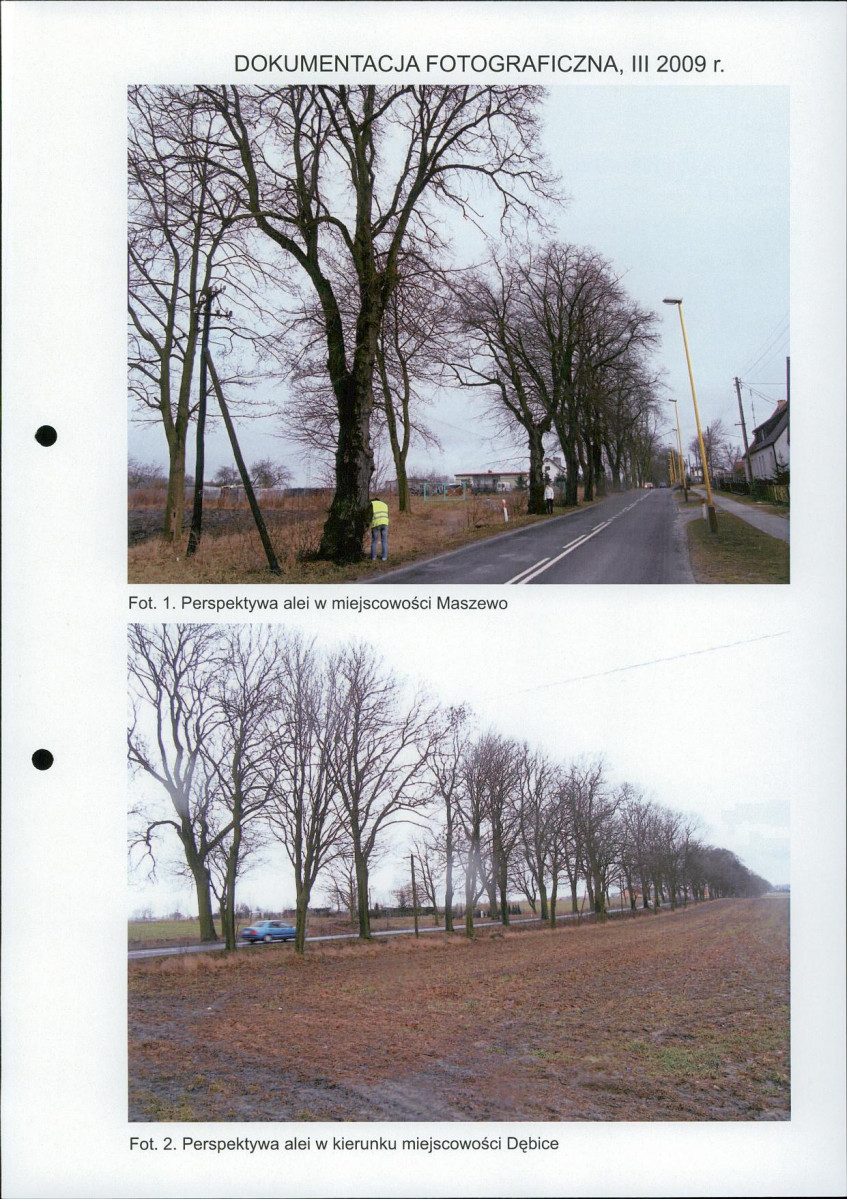 EP - Ewidencja parkowa, skan nr 22