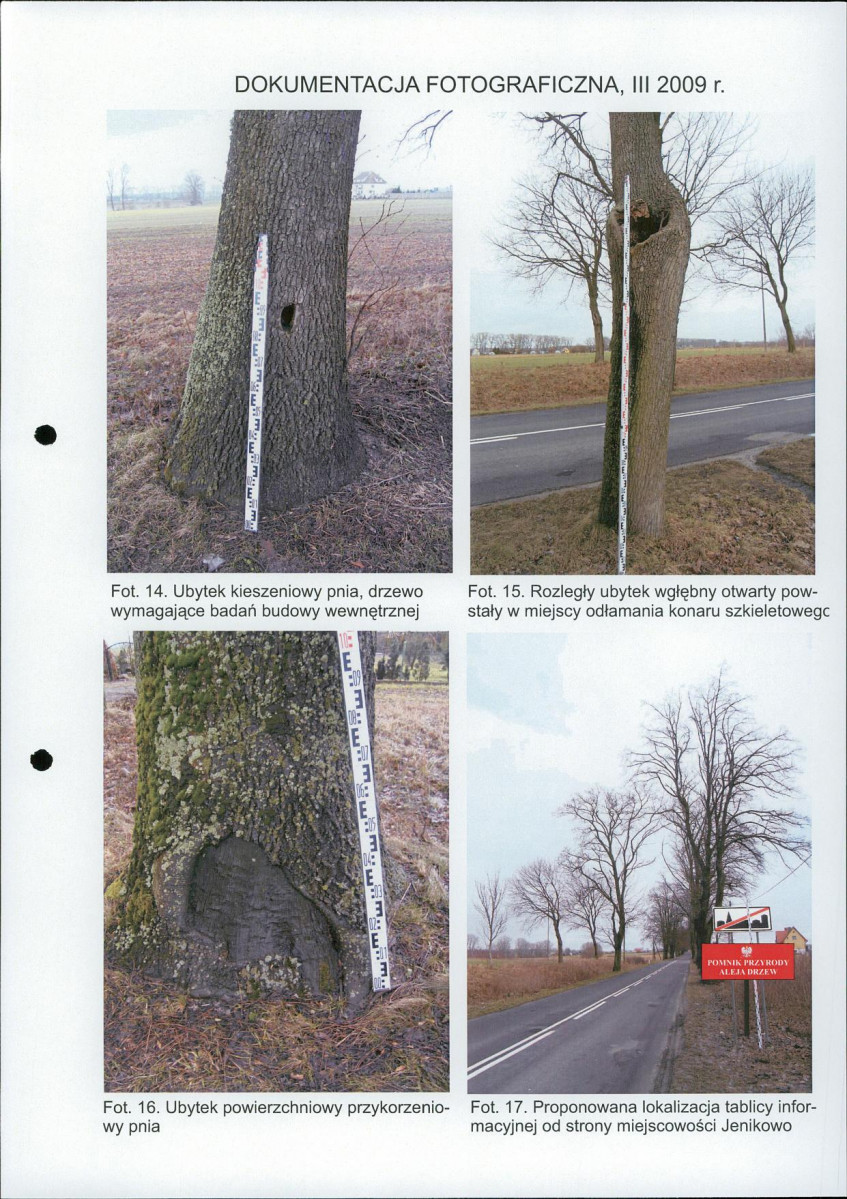 EP - Ewidencja parkowa, skan nr 26