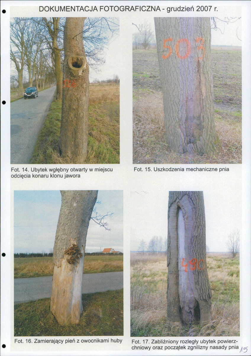 EP - Ewidencja parkowa, skan nr 16