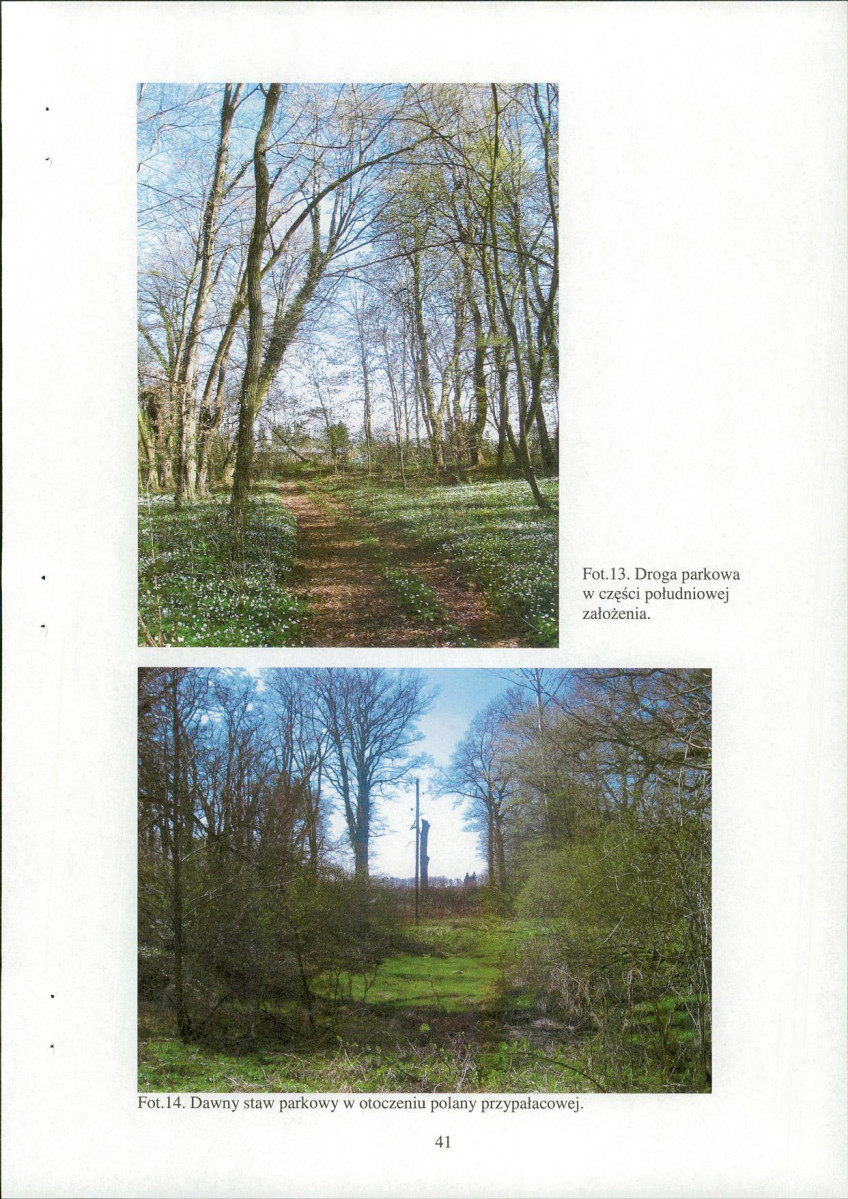 EP - Ewidencja parkowa, skan nr 43