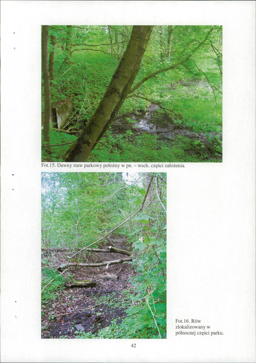 EP - Ewidencja parkowa, skan nr 44