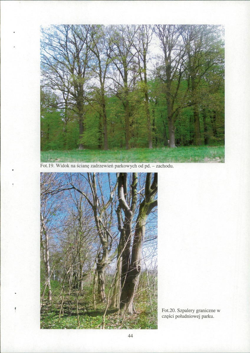EP - Ewidencja parkowa, skan nr 46