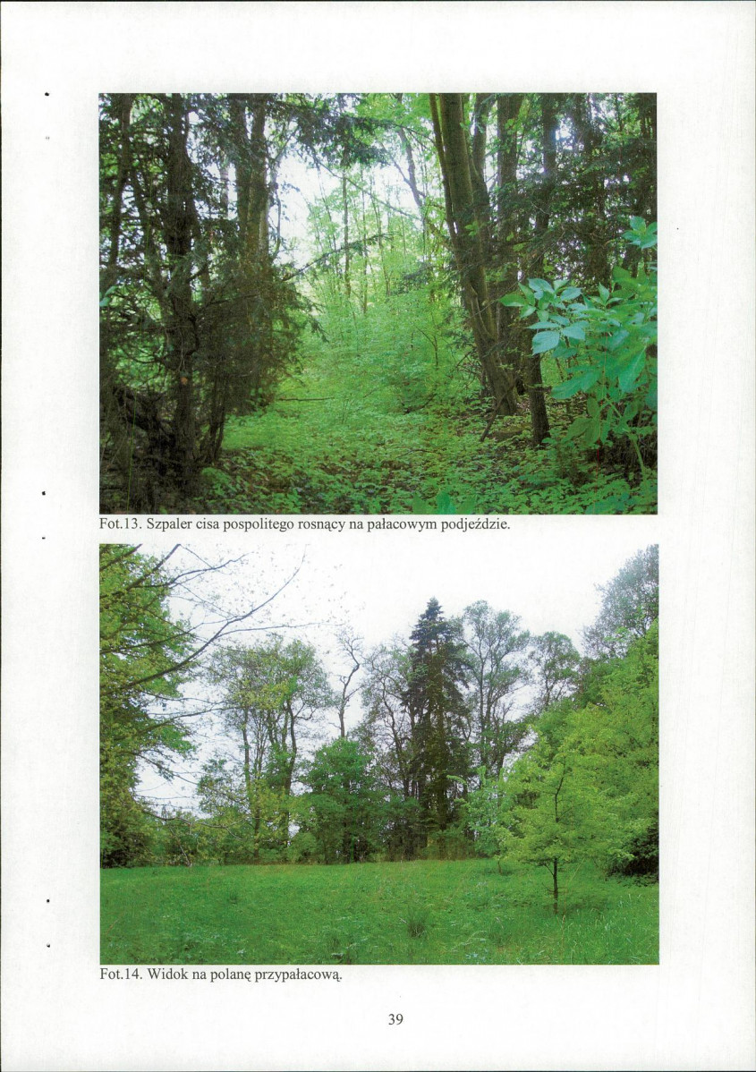 EP - Ewidencja parkowa, skan nr 41