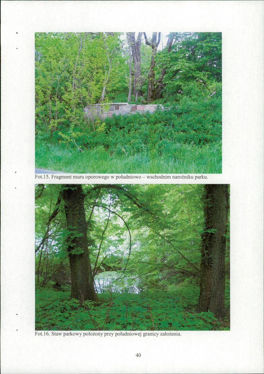 EP - Ewidencja parkowa, skan nr 42