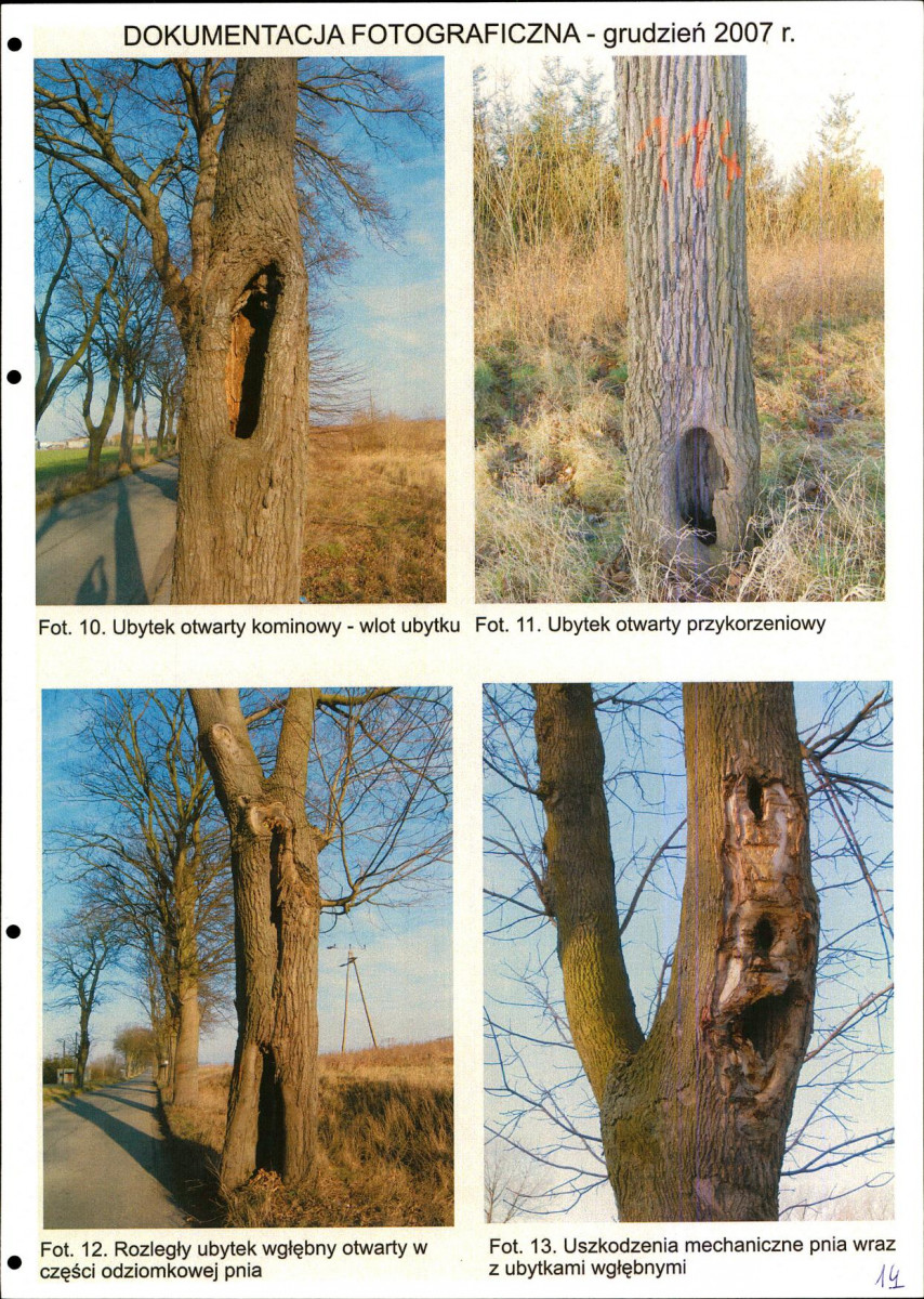 EP - Ewidencja parkowa, skan nr 14