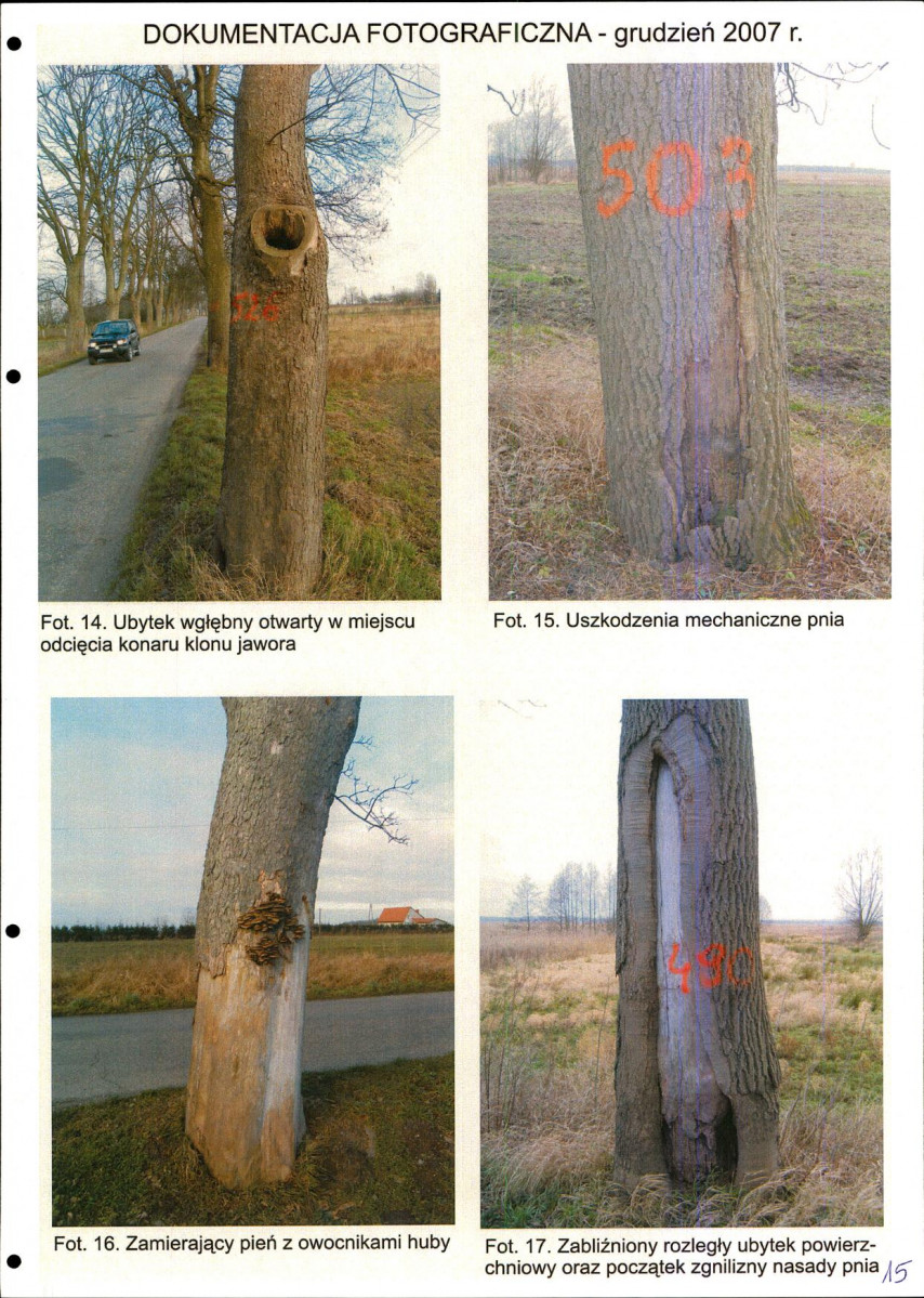 EP - Ewidencja parkowa, skan nr 15