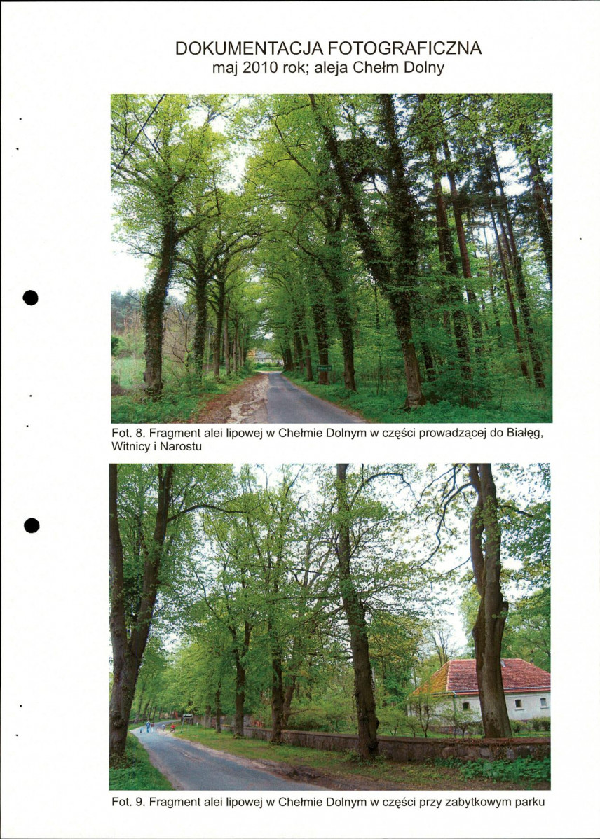 EP - Ewidencja parkowa, skan nr 20