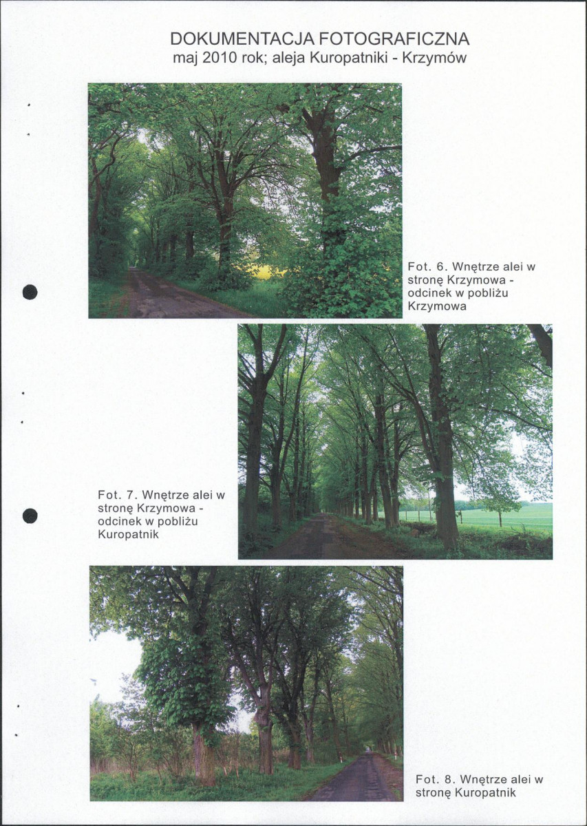 EP - Ewidencja parkowa, skan nr 16