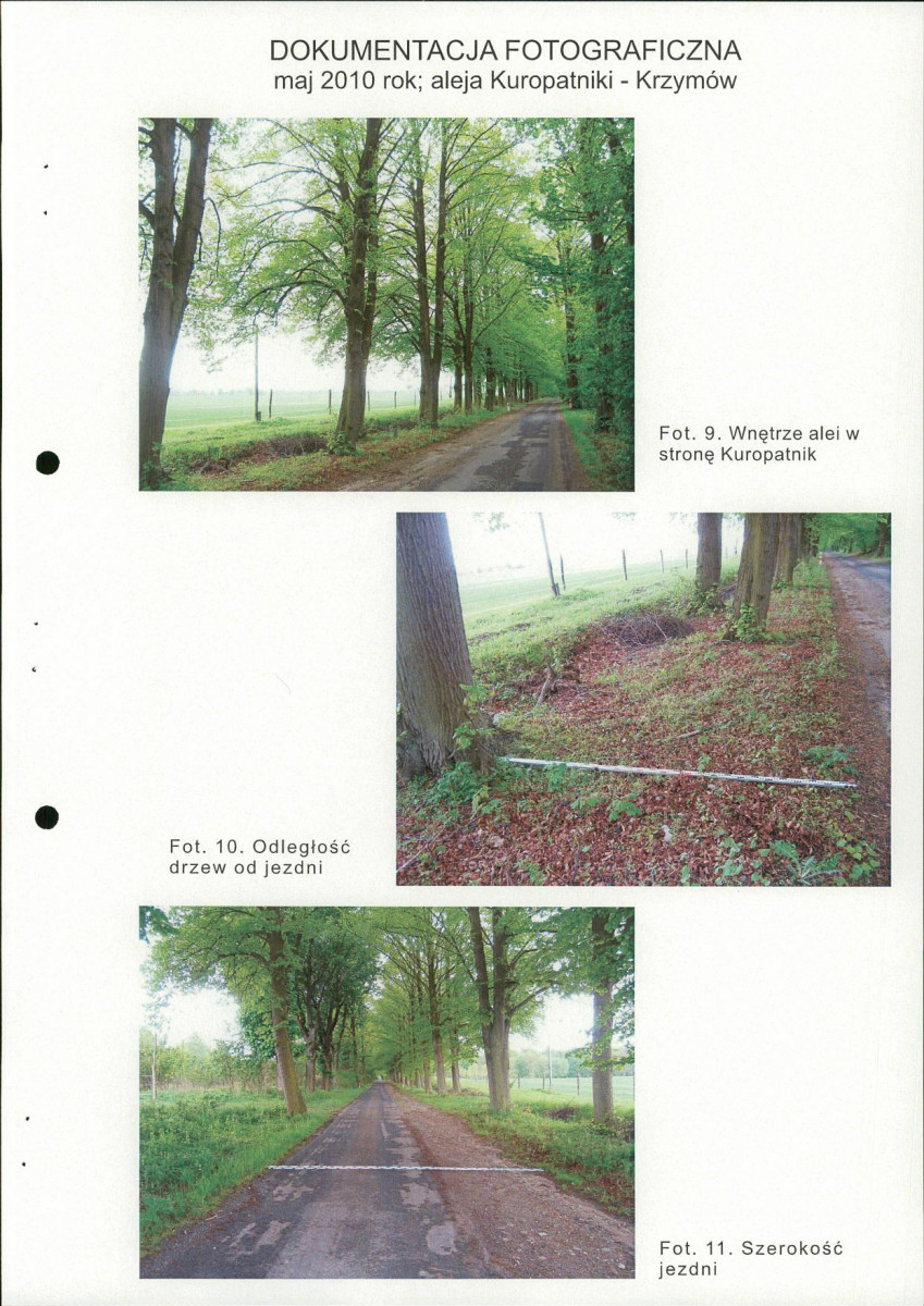 EP - Ewidencja parkowa, skan nr 17