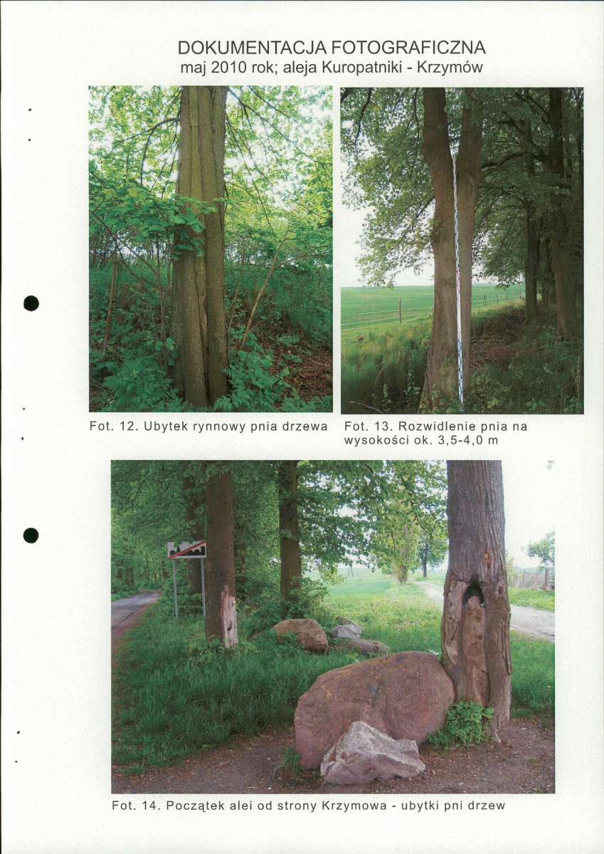 EP - Ewidencja parkowa, skan nr 18