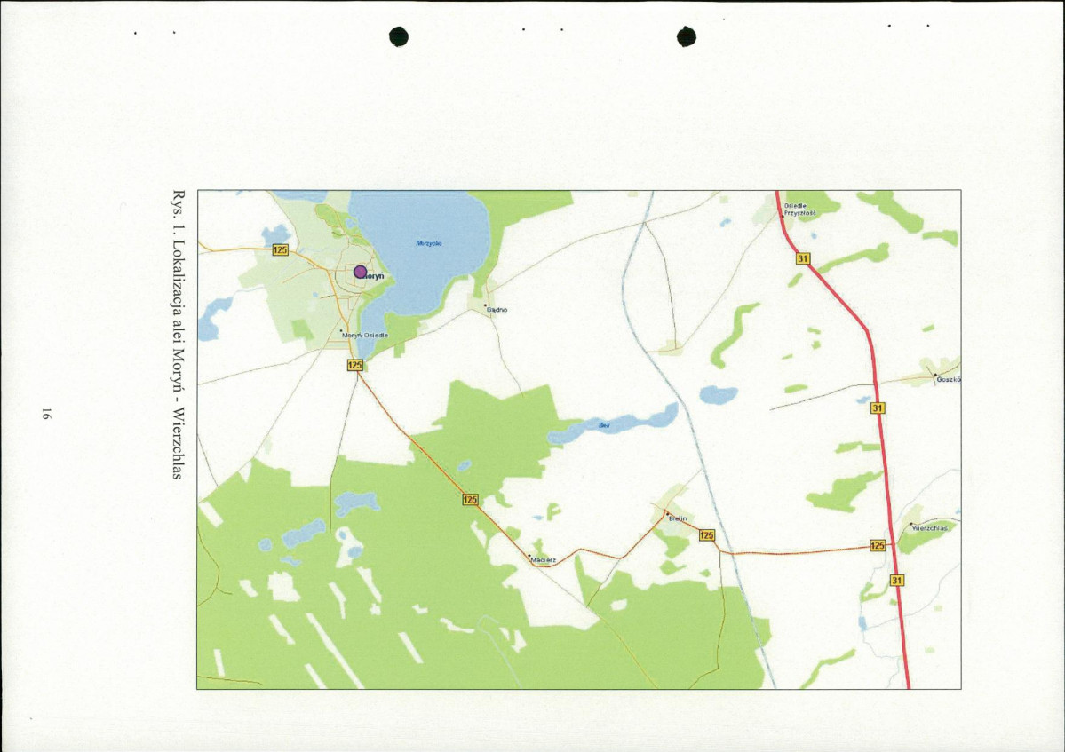 EP - Ewidencja parkowa, skan nr 17