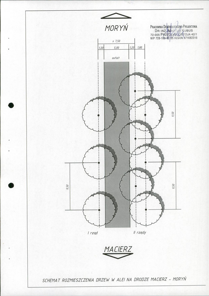 EP - Ewidencja parkowa, skan nr 21