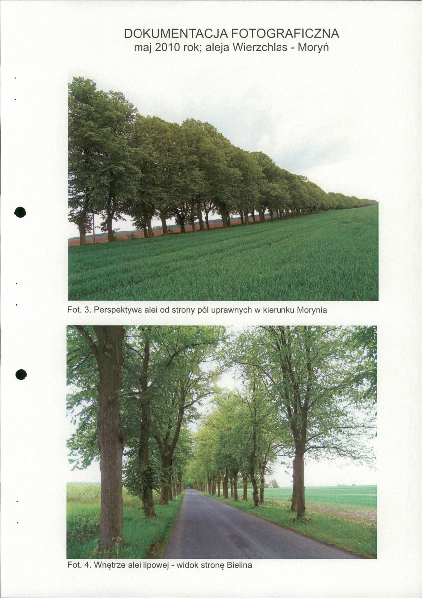 EP - Ewidencja parkowa, skan nr 25