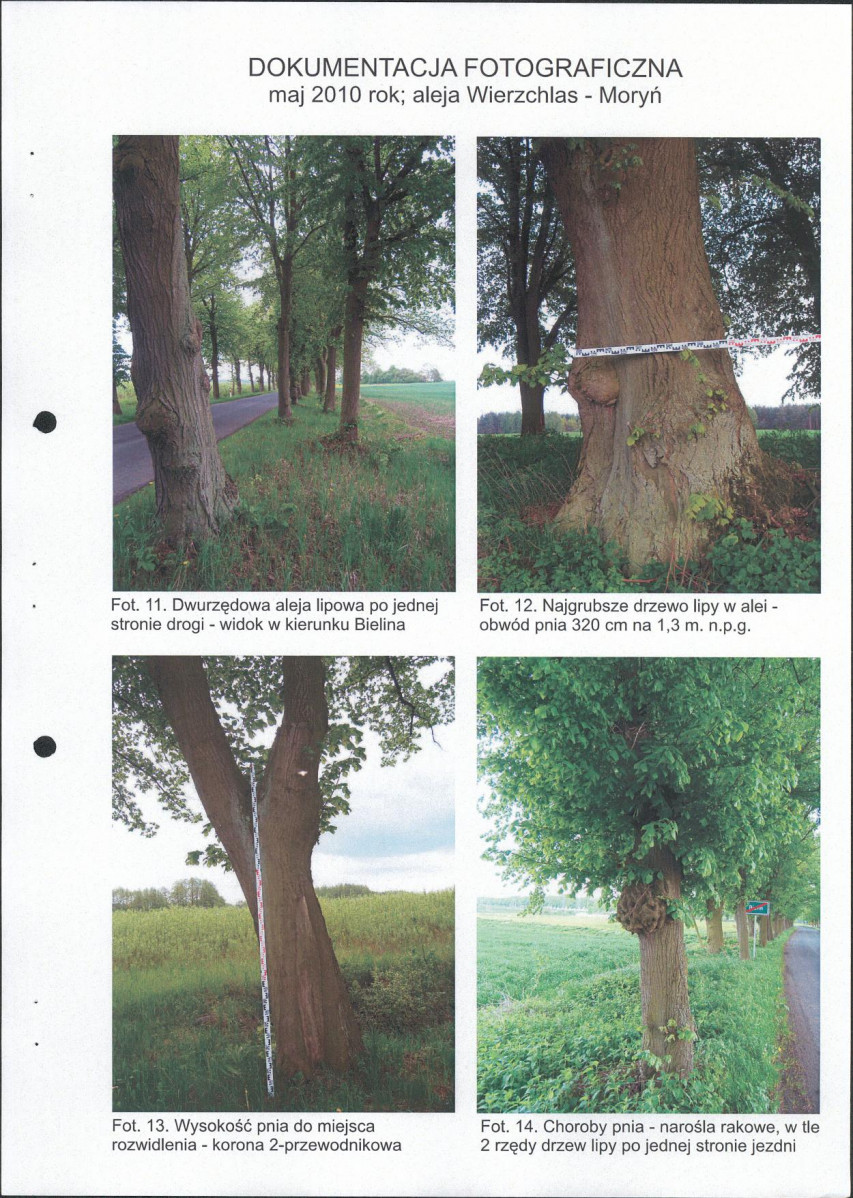 EP - Ewidencja parkowa, skan nr 28