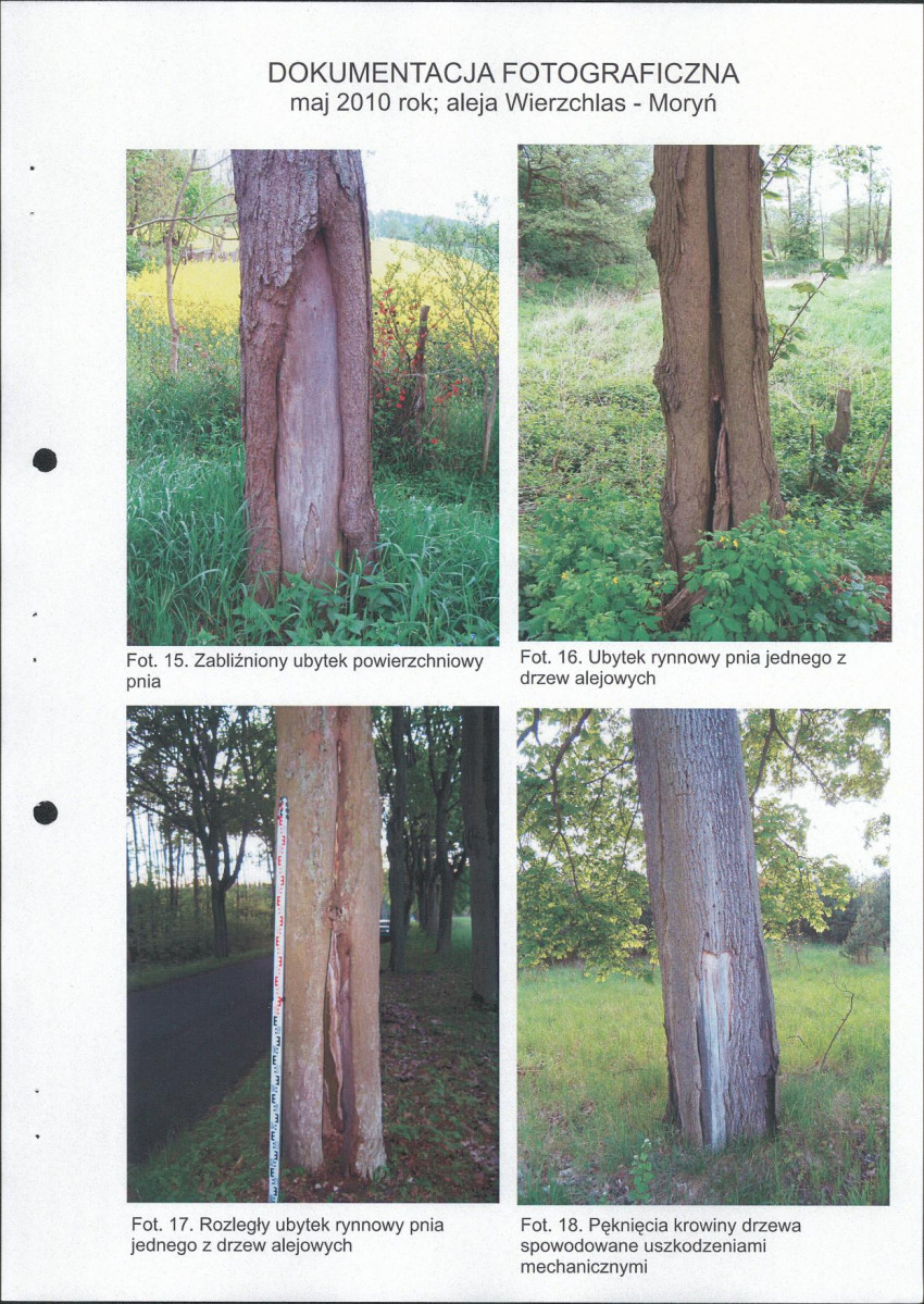 EP - Ewidencja parkowa, skan nr 29