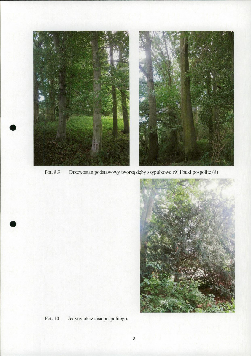 EP - Ewidencja parkowa, skan nr 9