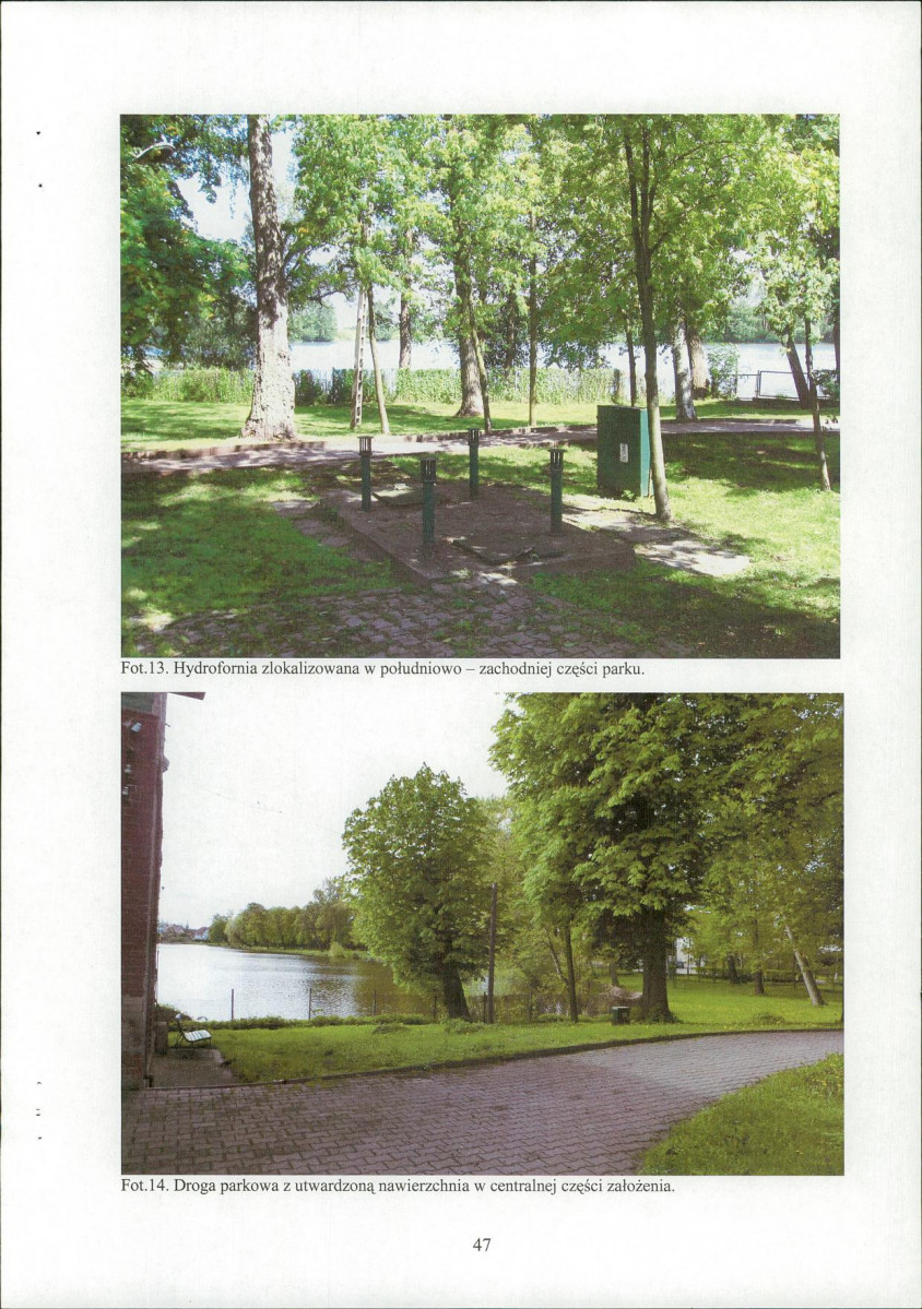 EP - Ewidencja parkowa, skan nr 49
