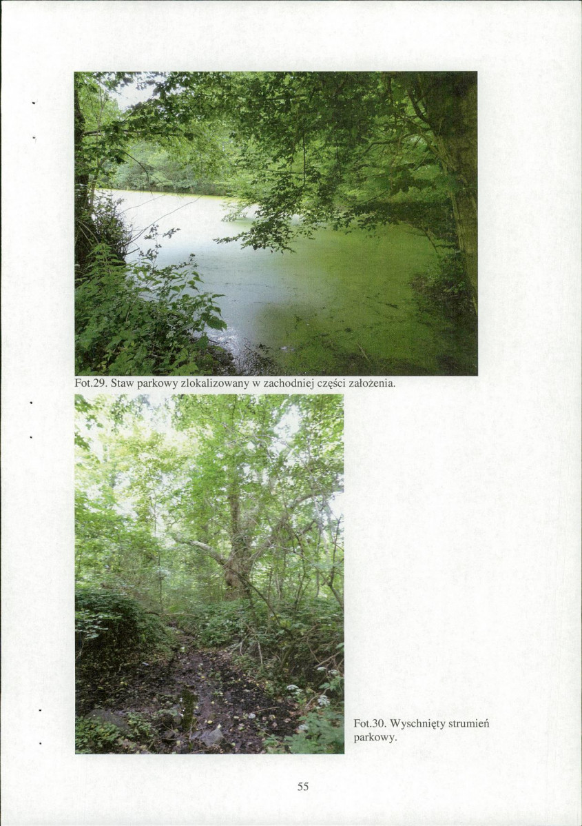 EP - Ewidencja parkowa, skan nr 57