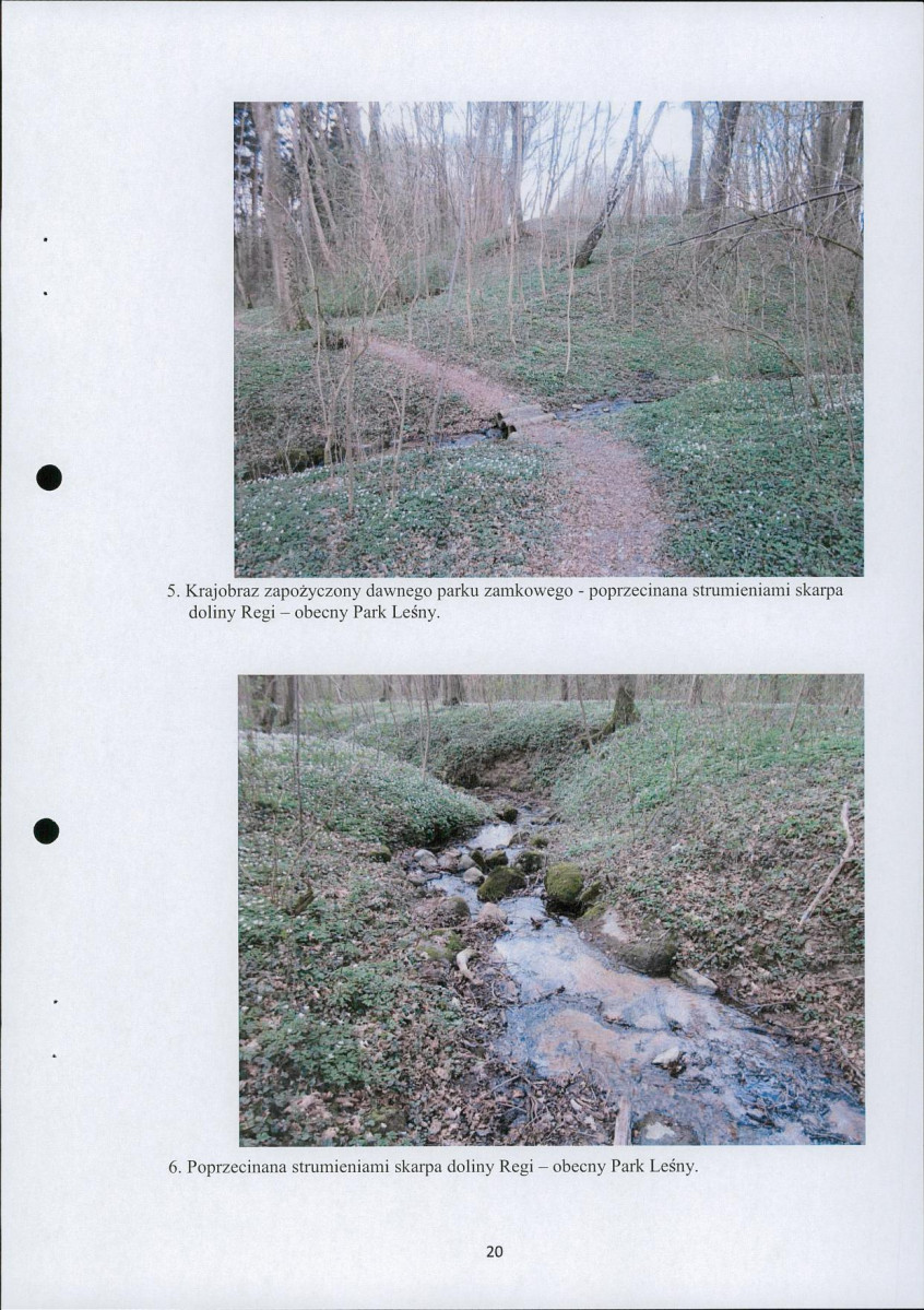 Ewidencja parkowa, skan nr 21