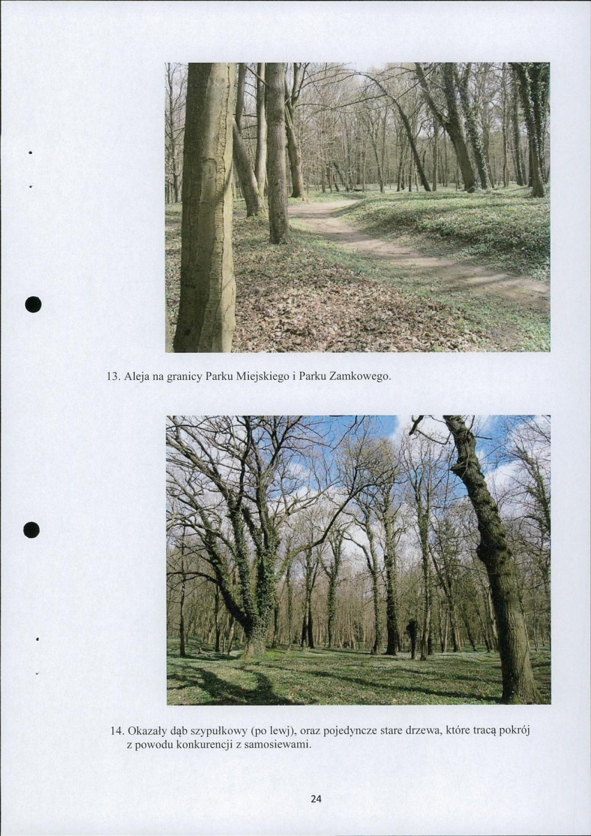 Ewidencja parkowa, skan nr 25