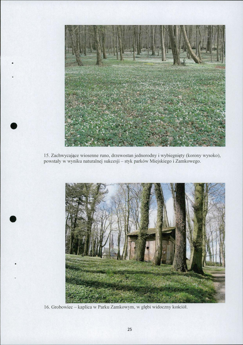 Ewidencja parkowa, skan nr 26