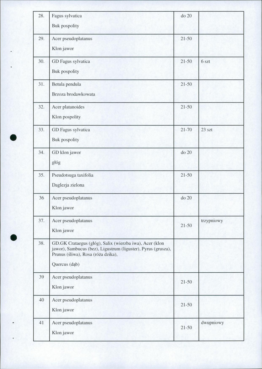Ewidencja parkowa, skan nr 14